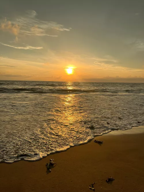 anyone else craving sunsets with beach vibes?