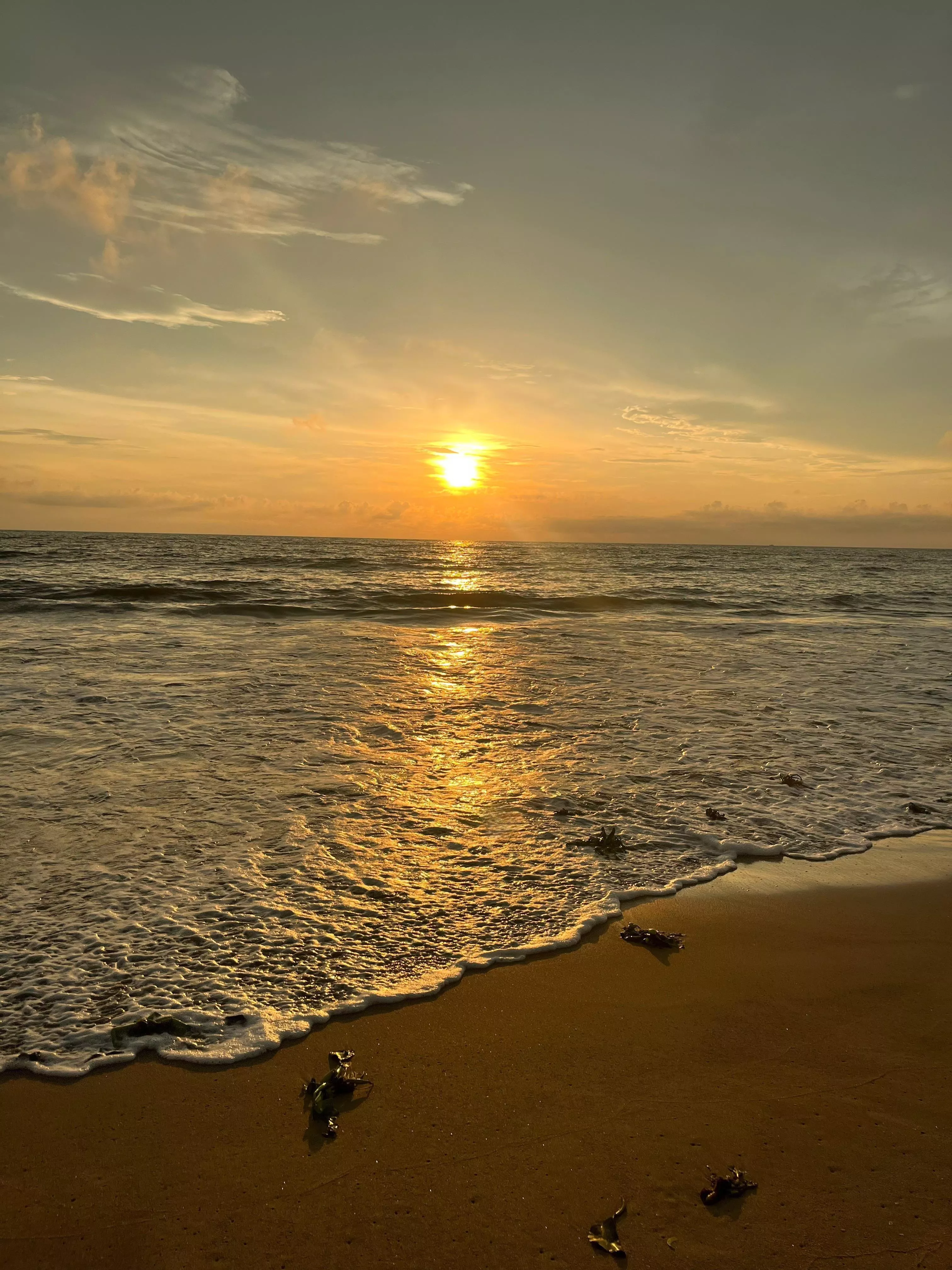 anyone else craving sunsets with beach vibes?