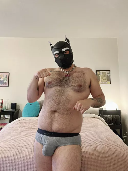 Awruff! Howdy, I’m Domino ⚪️⚫️