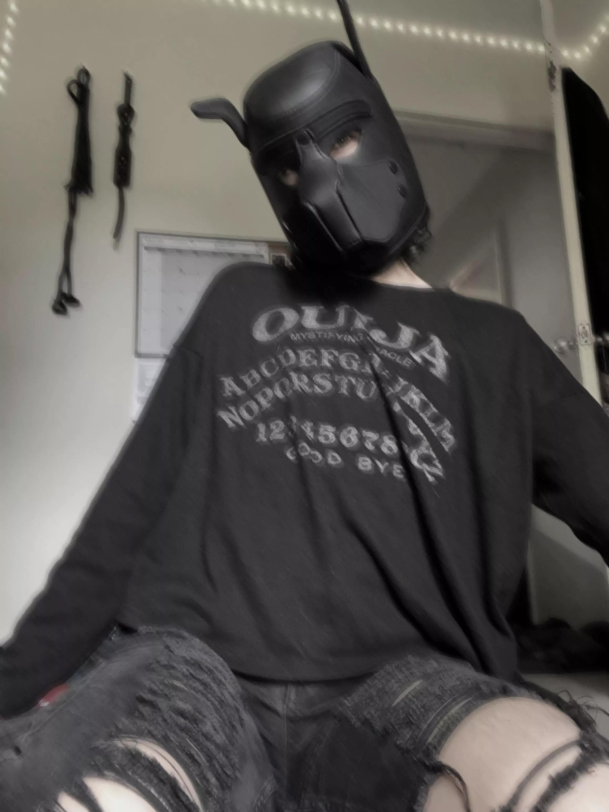 happy spooky month!! 🎃🐾 what are your scary plans for october?