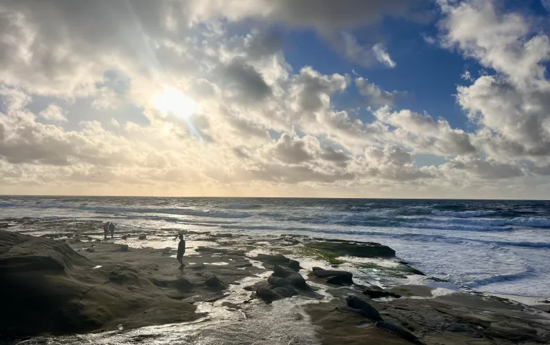 La Jolla Sunset, Windansea