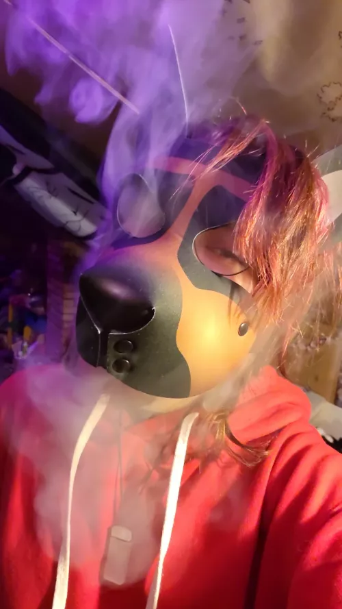 Puppy got a new hood!!