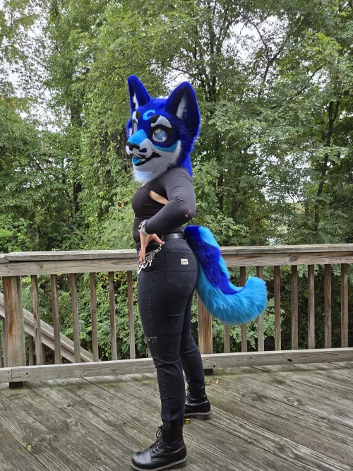 I recieved my first mini-partial a few days ago