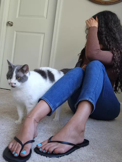 Something about thong sandals and flip flops are so sexy....even my cat agrees 🐈‍⬛️