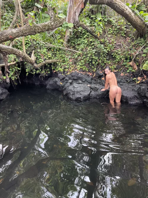 What's the first thing you see in the jungle