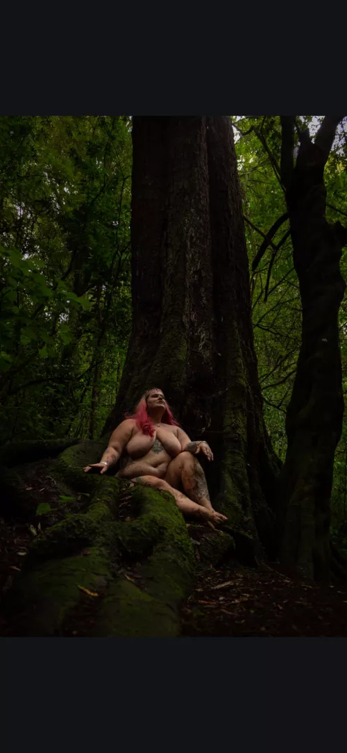 Found this tree on a nature trail