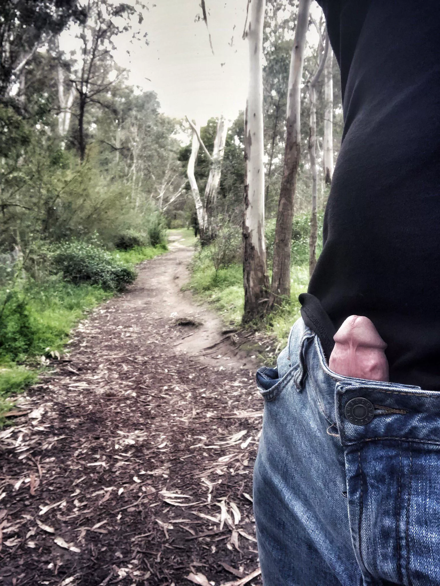 I think you’ll like this trail