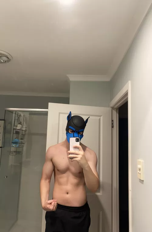 New pup here - if you had all night with me and I couldn’t say no, what would we do? 👀