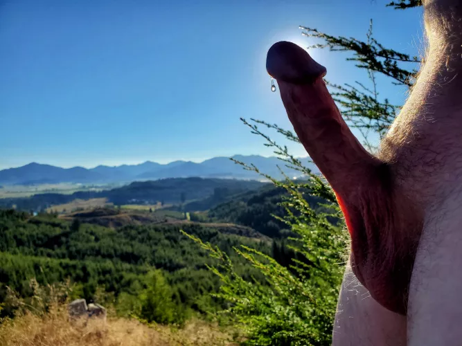 Touch of Precum Tuesdays