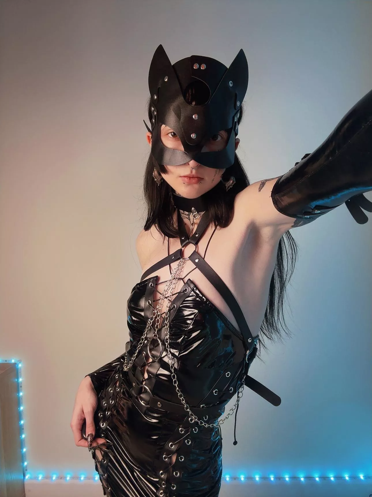 Wildcat to your attention 