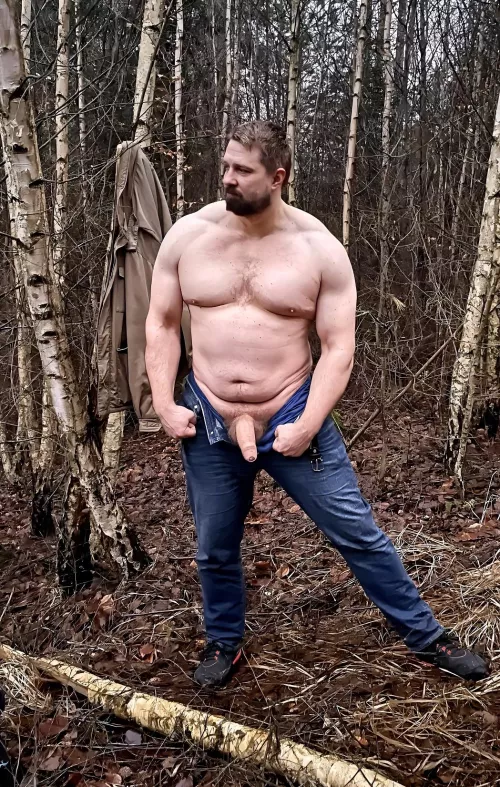 Would you dare to approach wild animals in the forest?