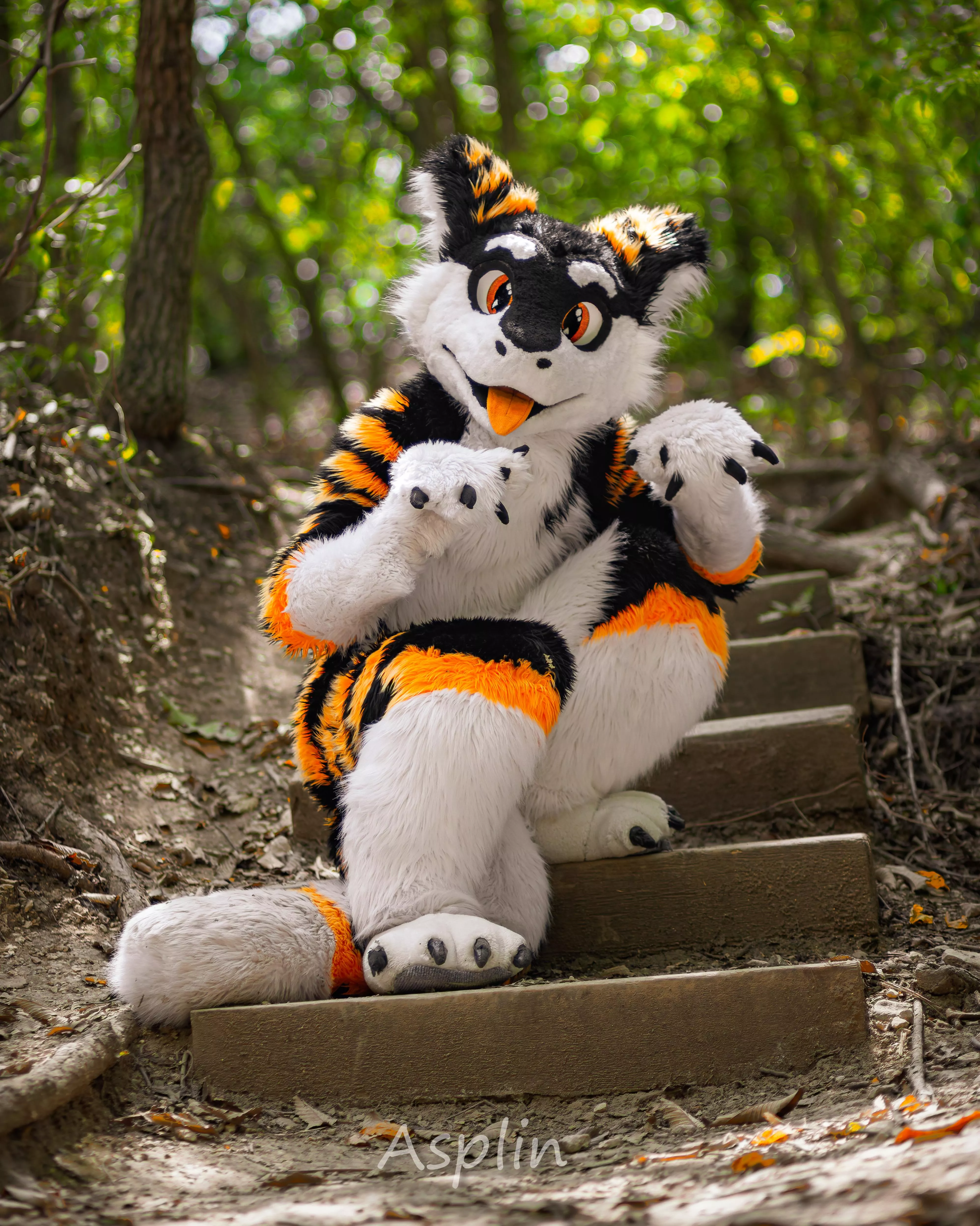 Cheese shaped obstruction is on your path! What will you do?? :>