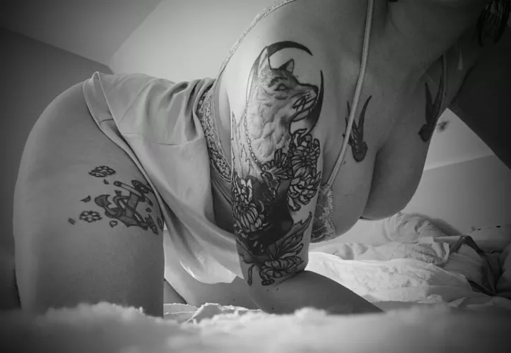 I'm your canvas. Use me. 