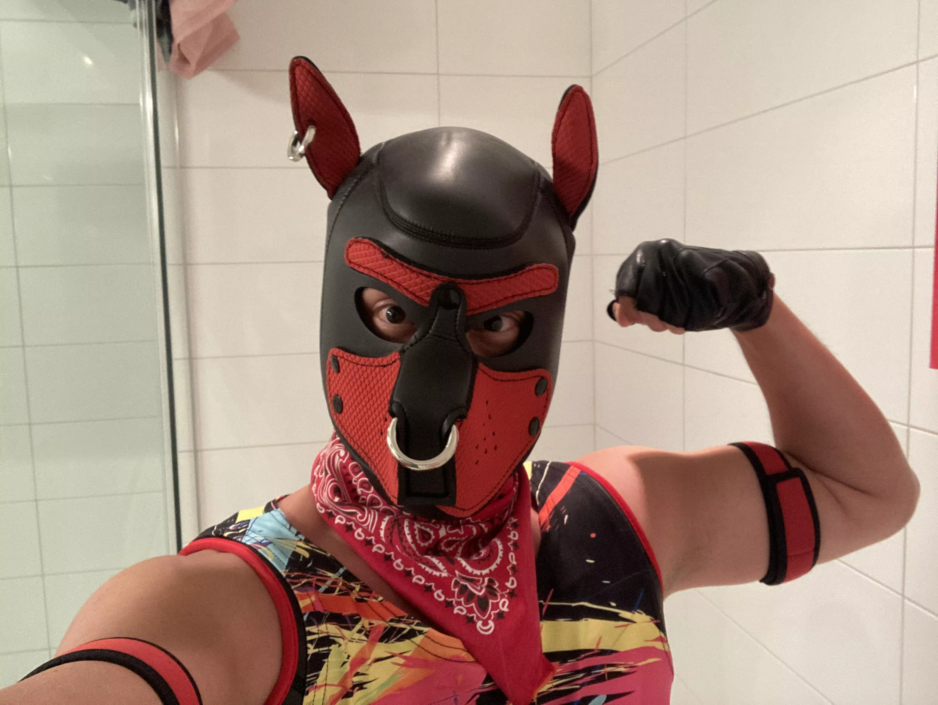 Let’s have some fun!