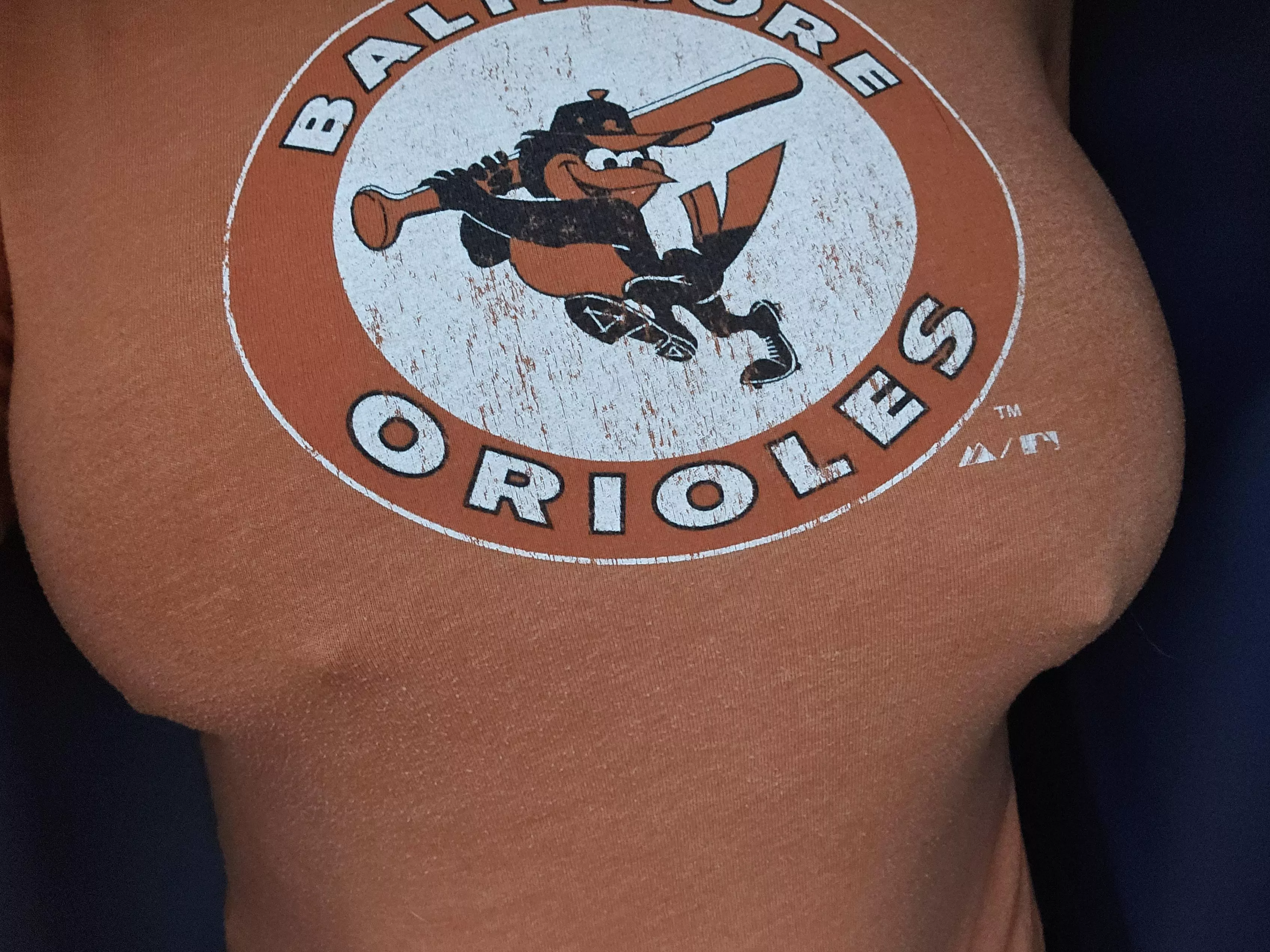 Season on the line. Will you root for the O's with me? Pretty please?
