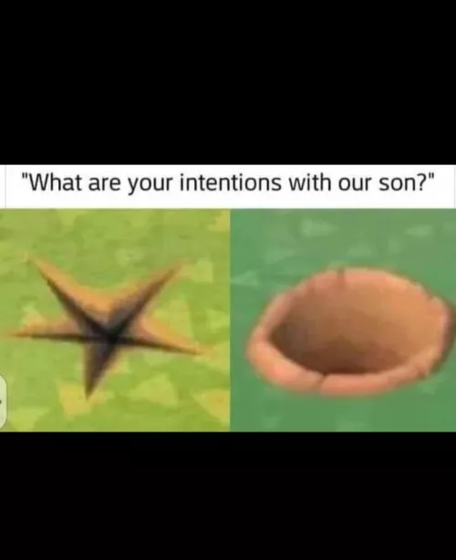 These are my intentions 