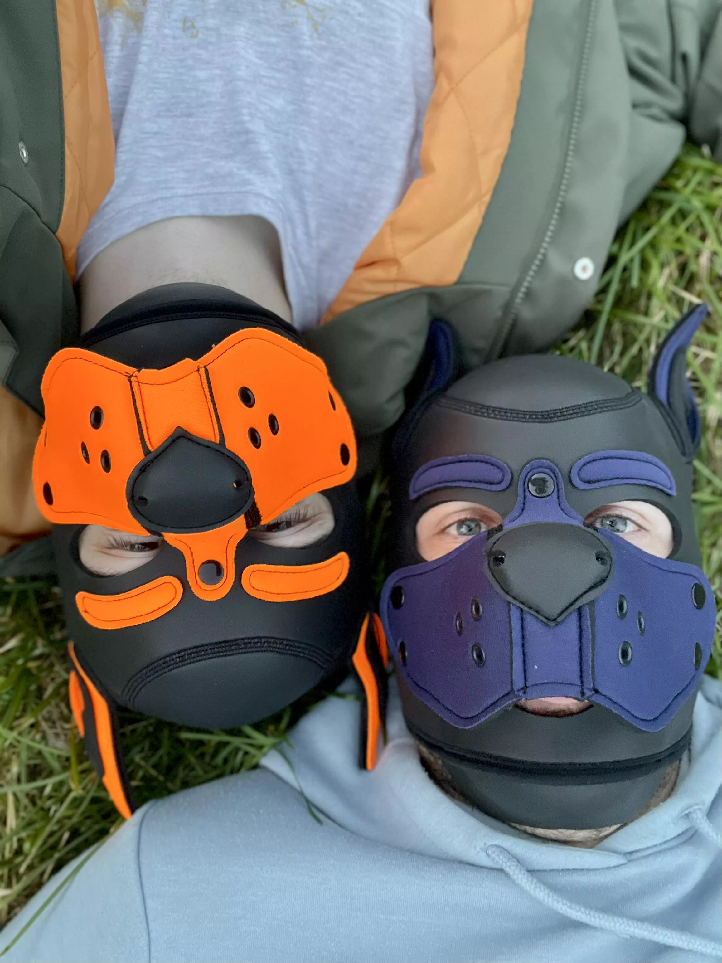 🐾 2 new pups enjoying some outdoor vibes 🍂