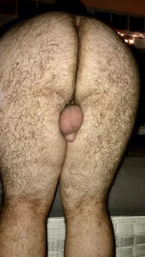 [23] no one wants my hairy ass :(