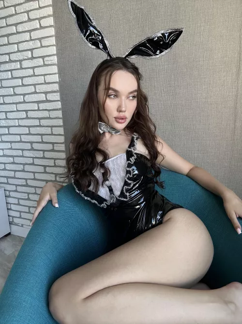 Bunny needs your carrot urgently