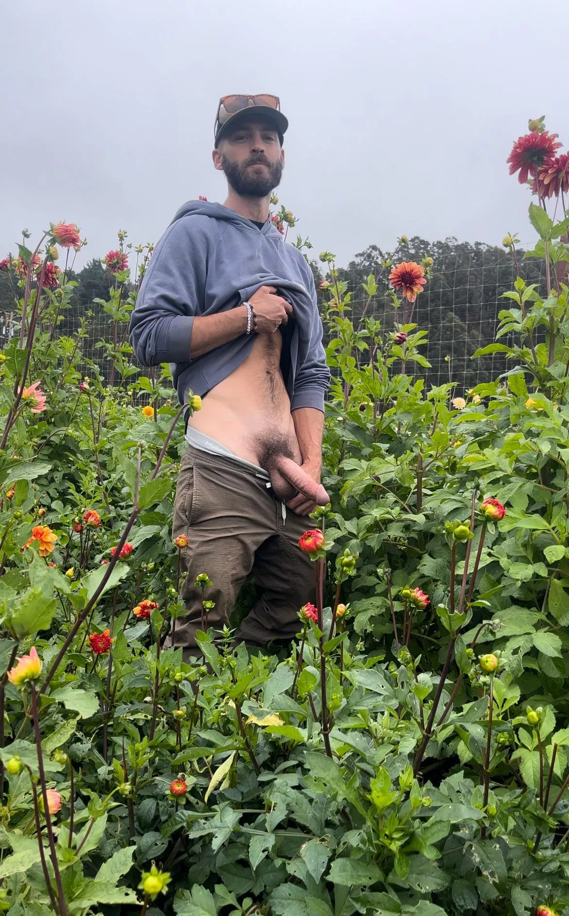 Cock and flowers 