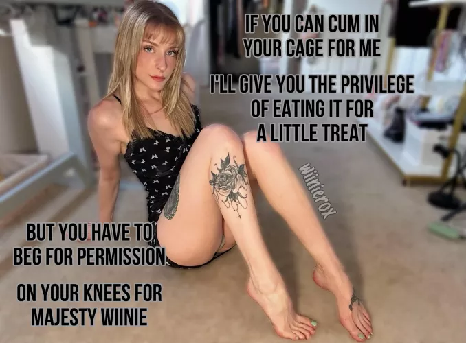 Do we have a deal then? 