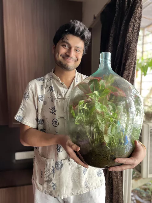 how does my 6 year old terrarium look?