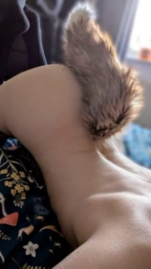 My tailplug is my new favorite accessory