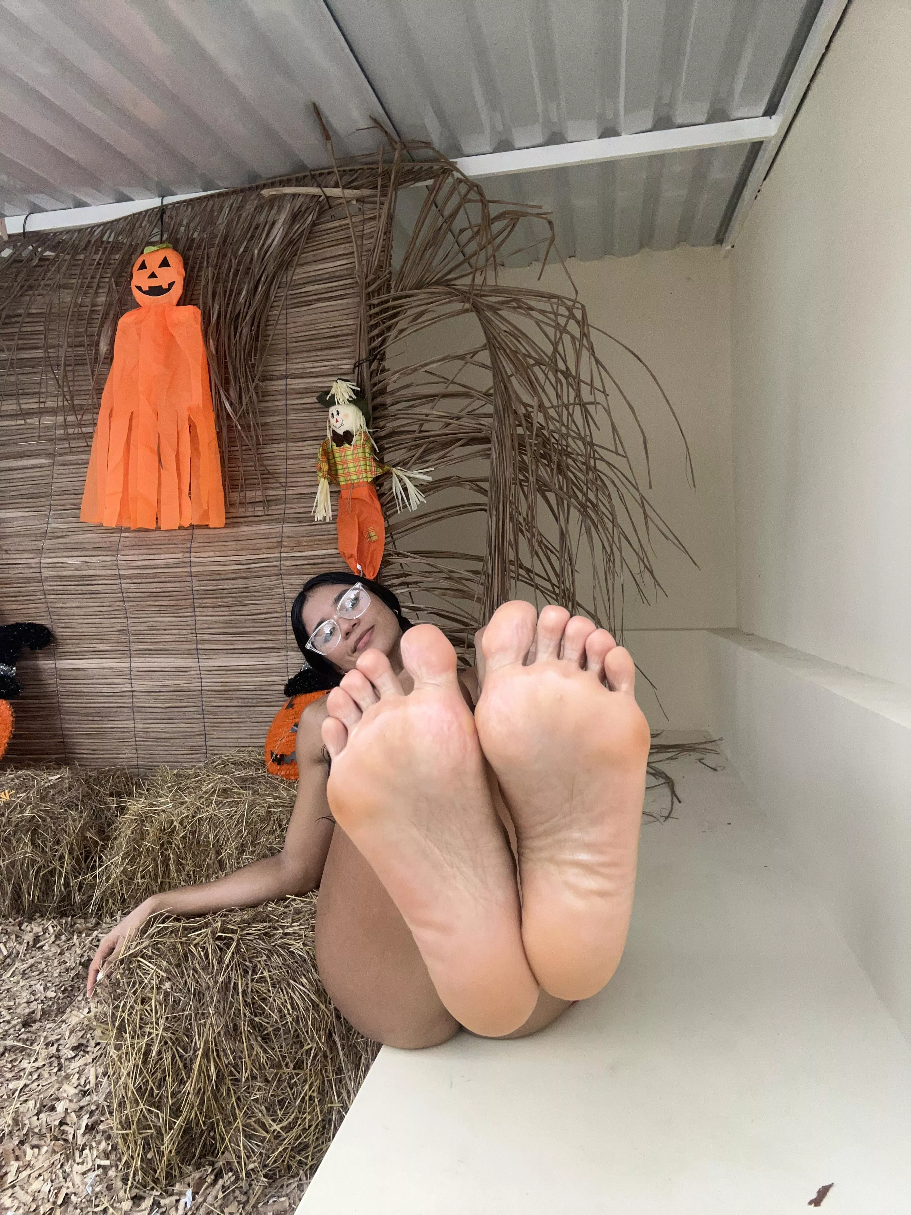 Will you get hard easily if I say I'll offer my feet to you