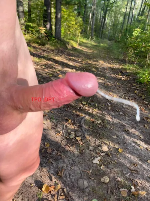 Wind is blowing why didn’t you (52)