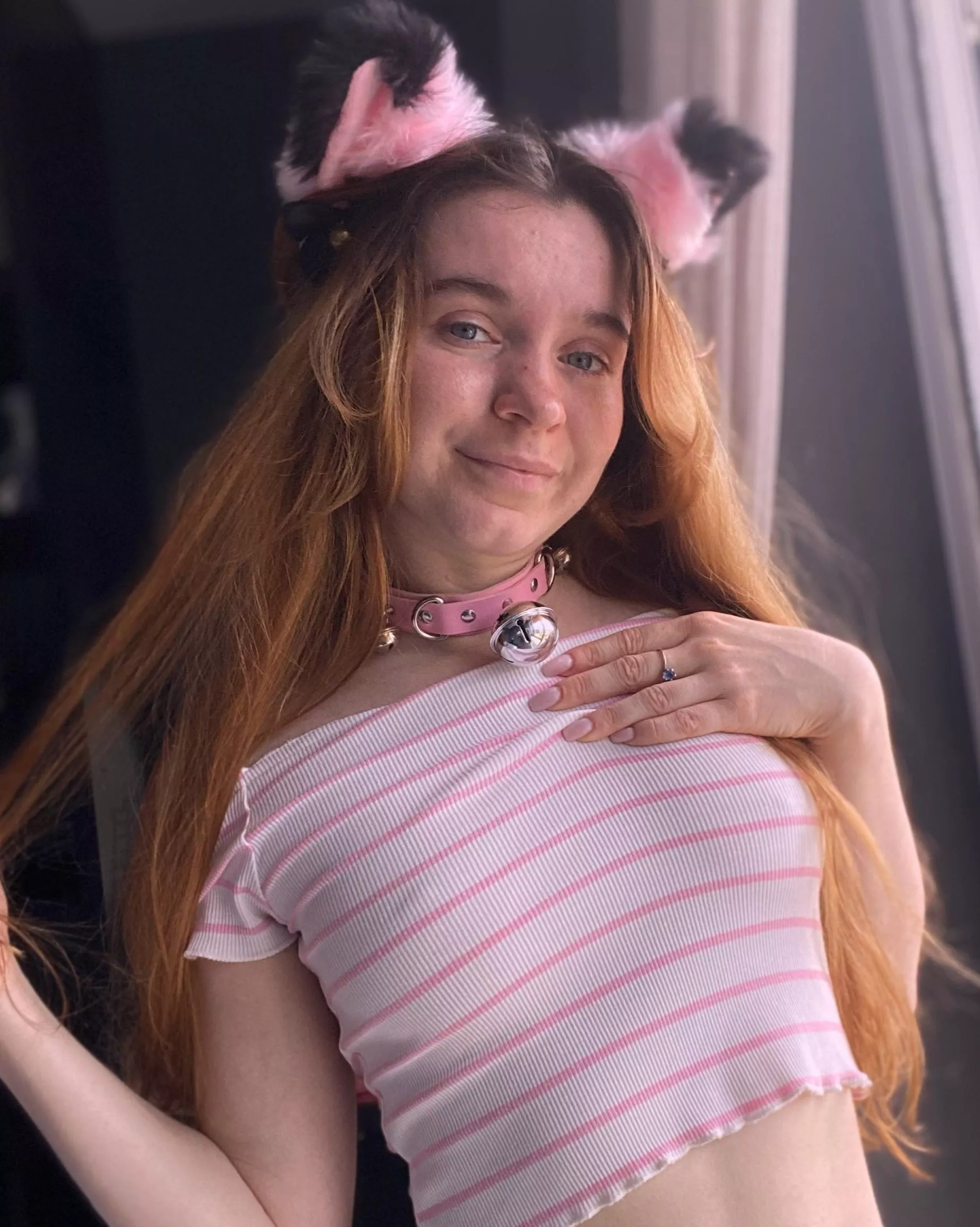 I'm trying to be a wild cat but I'm still a cute kitty at heart