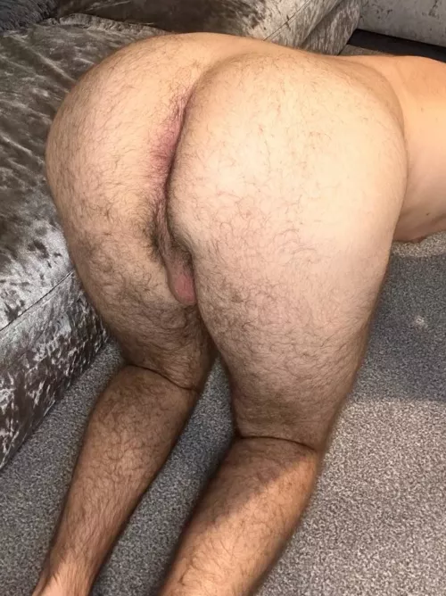 Making it my mission to grow an even hairier fuzzy Man Ass 