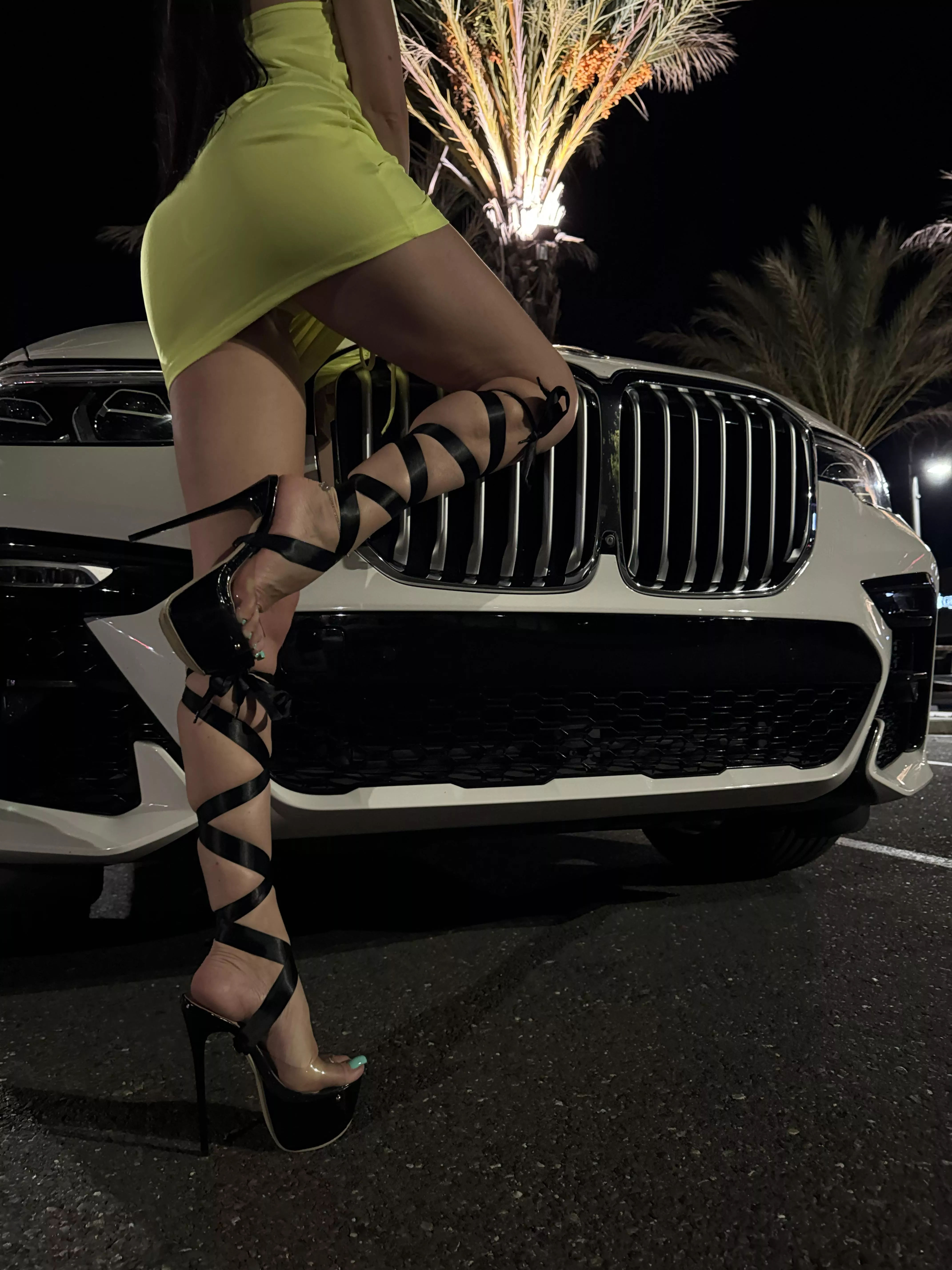 My day your night 🖤