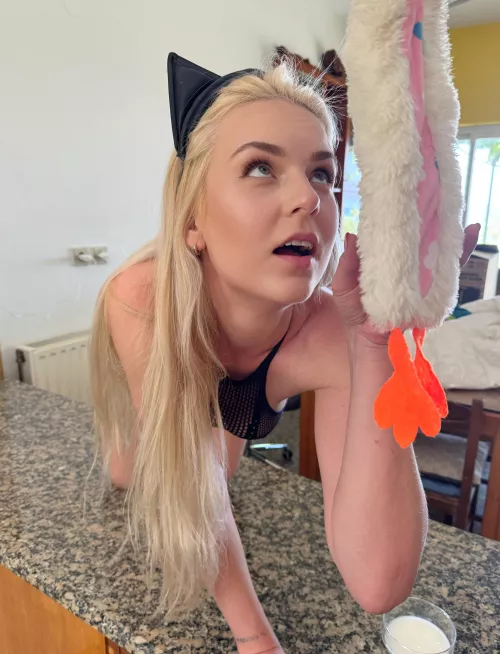 Play with this cute kitten