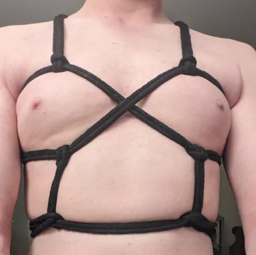 Another chest harness variation