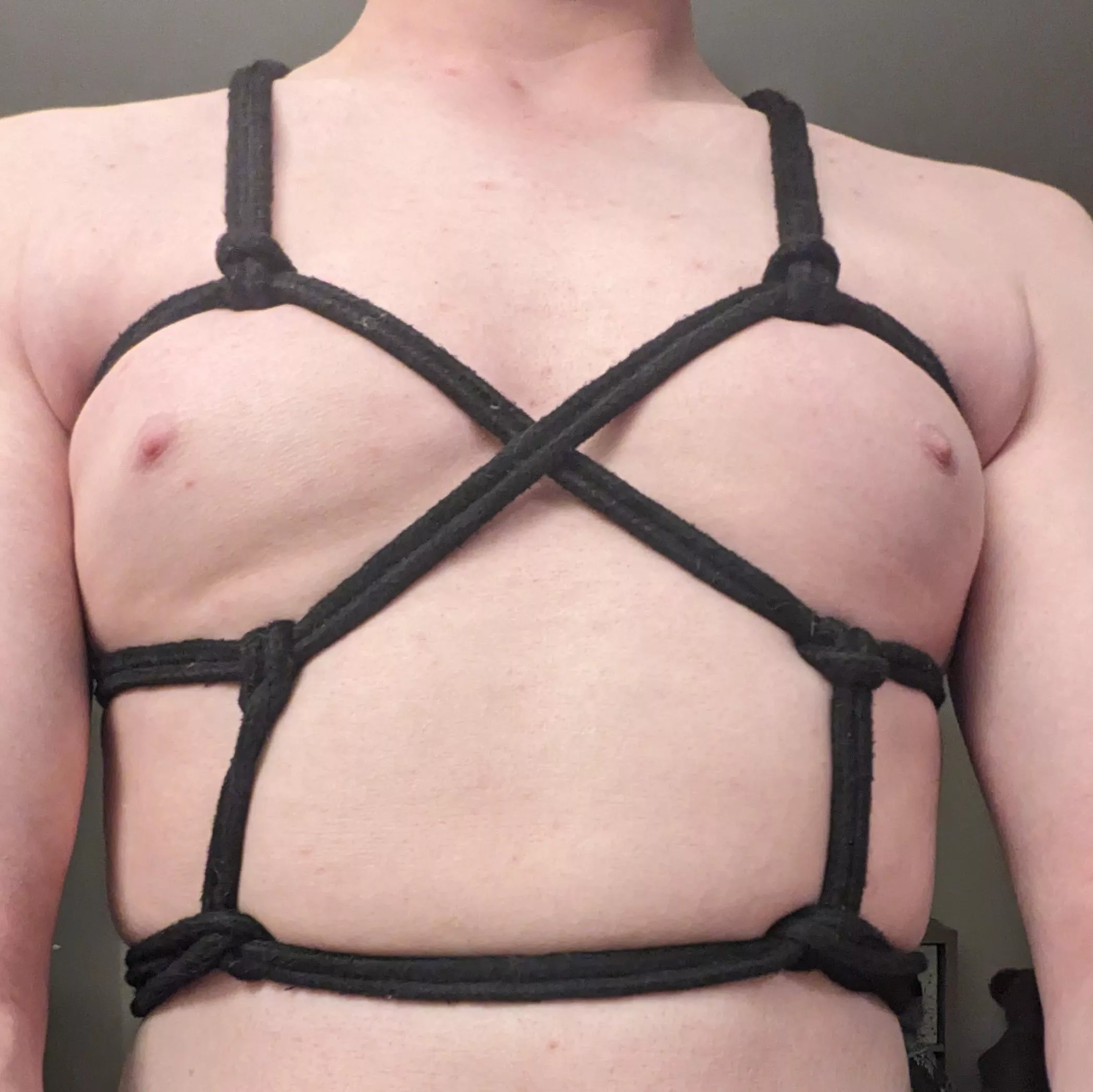 Another chest harness variation