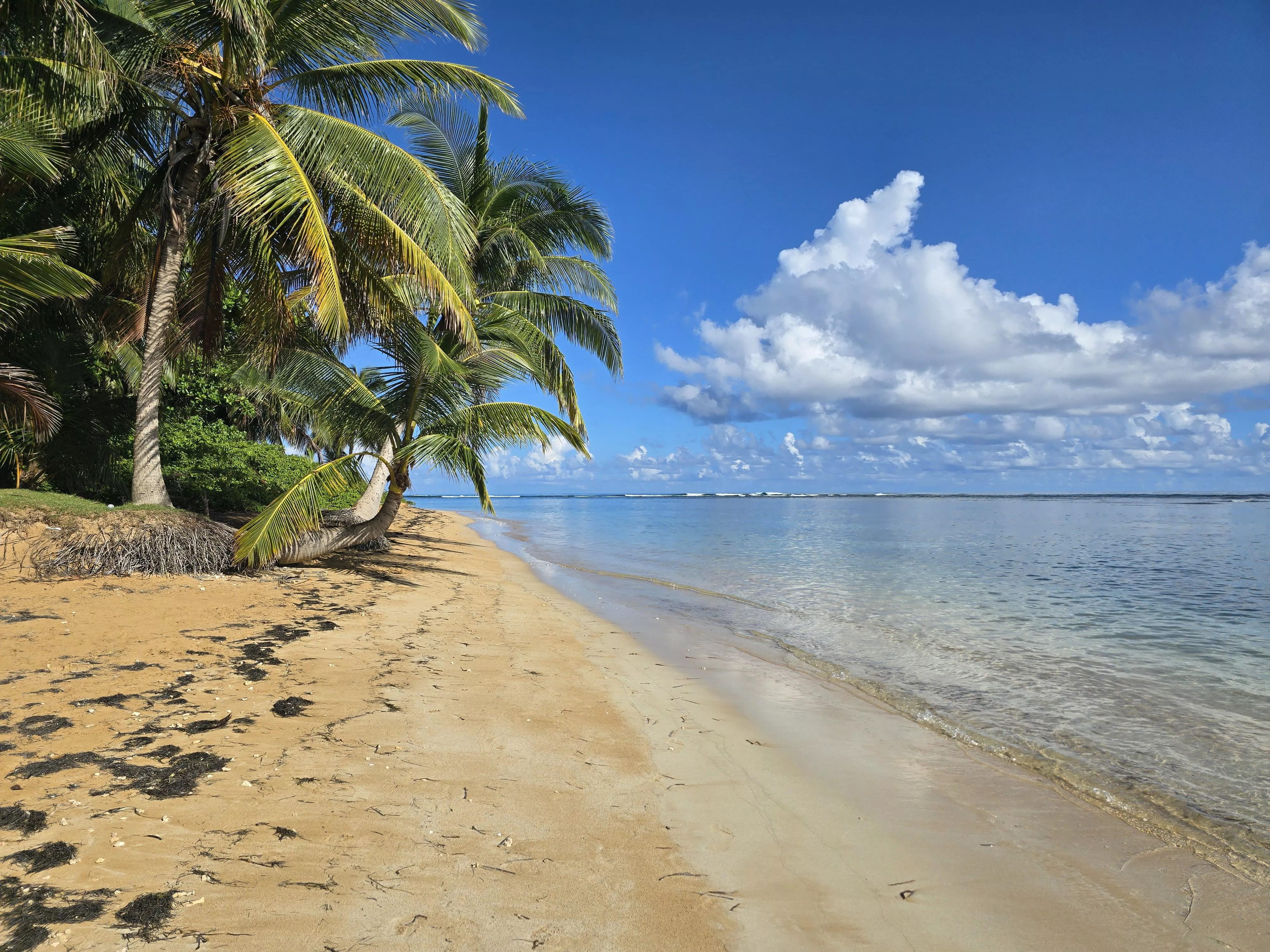 Beautiful Puerto Rico 