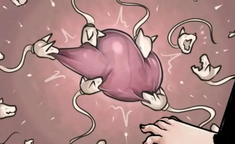 Color: fingernails, legs, ovum, fertilization, impregnation, x-ray 