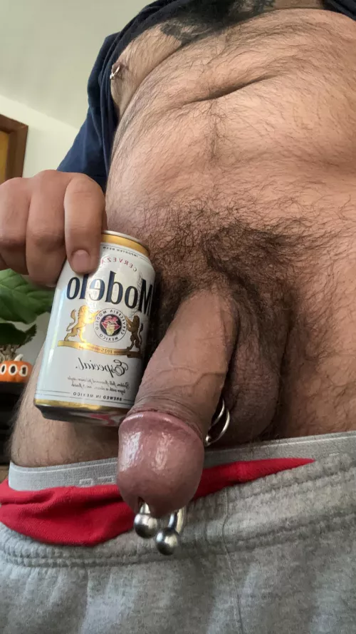 Latin bear ready to breed (36)yo uncut 