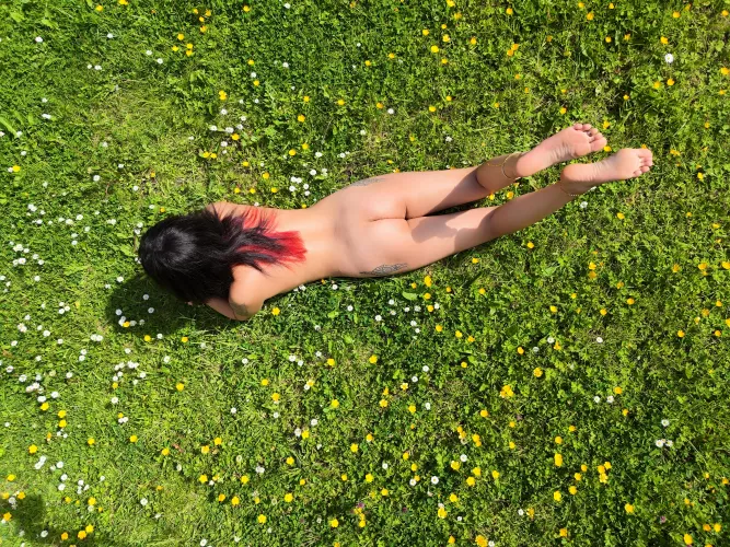 natural in nature such fun