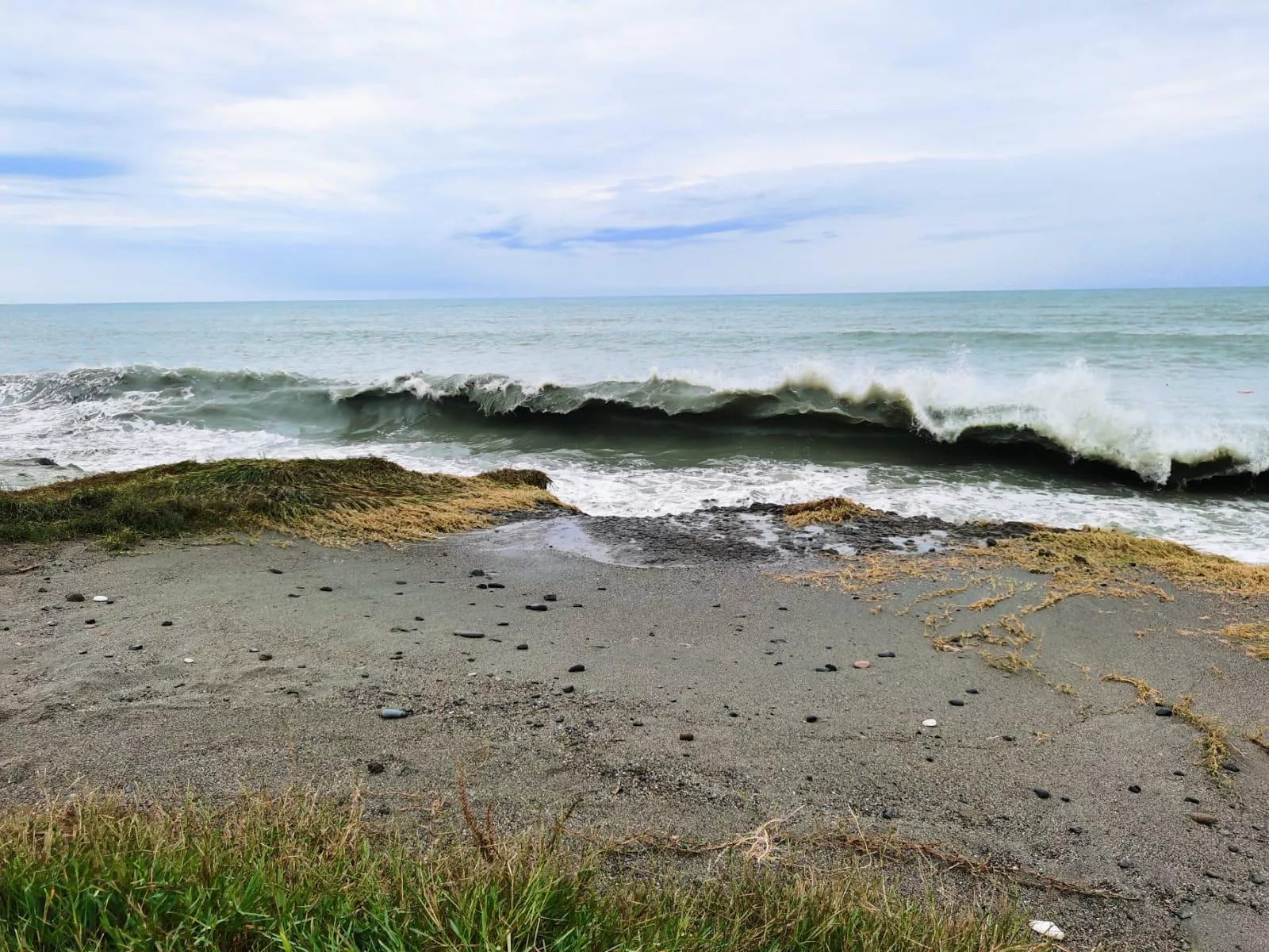 Sandy beach and seaweed