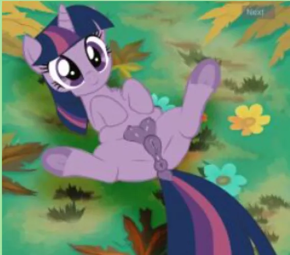 what website is it to play this game?
