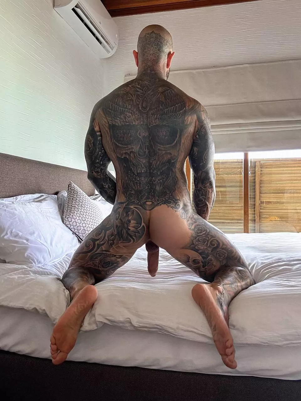 Would you take the front or the back ? 