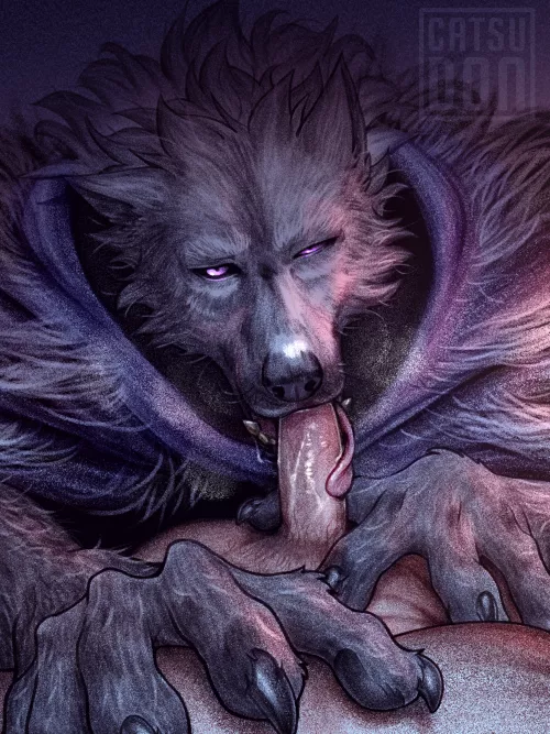Blaidd 🐺