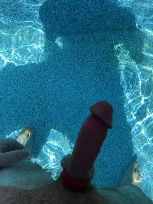 Enjoying my neighbors heated pool on a cool morning