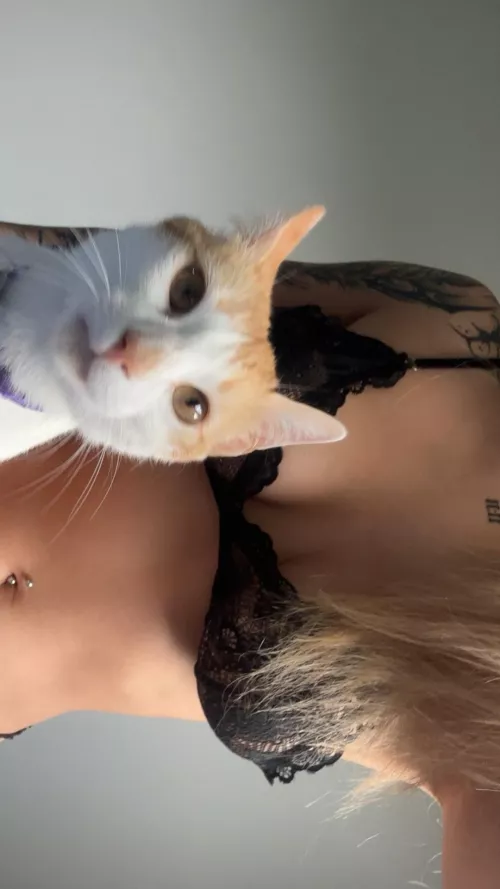 I guess no photoshoot today