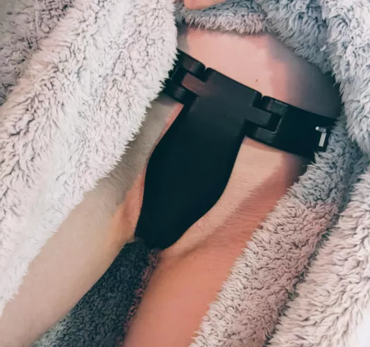 Just spent an hour going down on my girlfriend. Nothing makes the horny worse when you're belted 🔒🥵