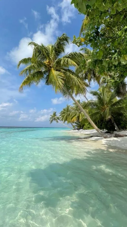 My dream destination 😍 Bora Bora