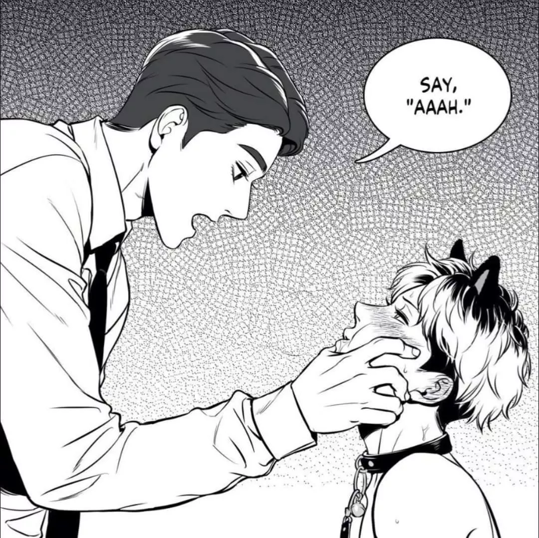 My faves 💞💕💞💕 [BJ ALEX]