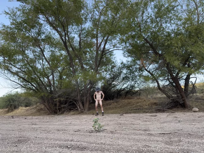 🌳Tree Pose Tuesday🌳