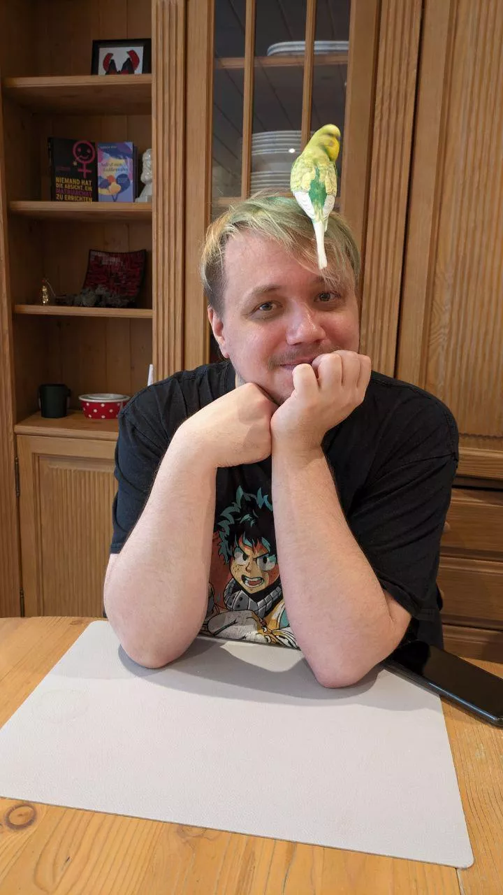 A colorful bird and a pudgie